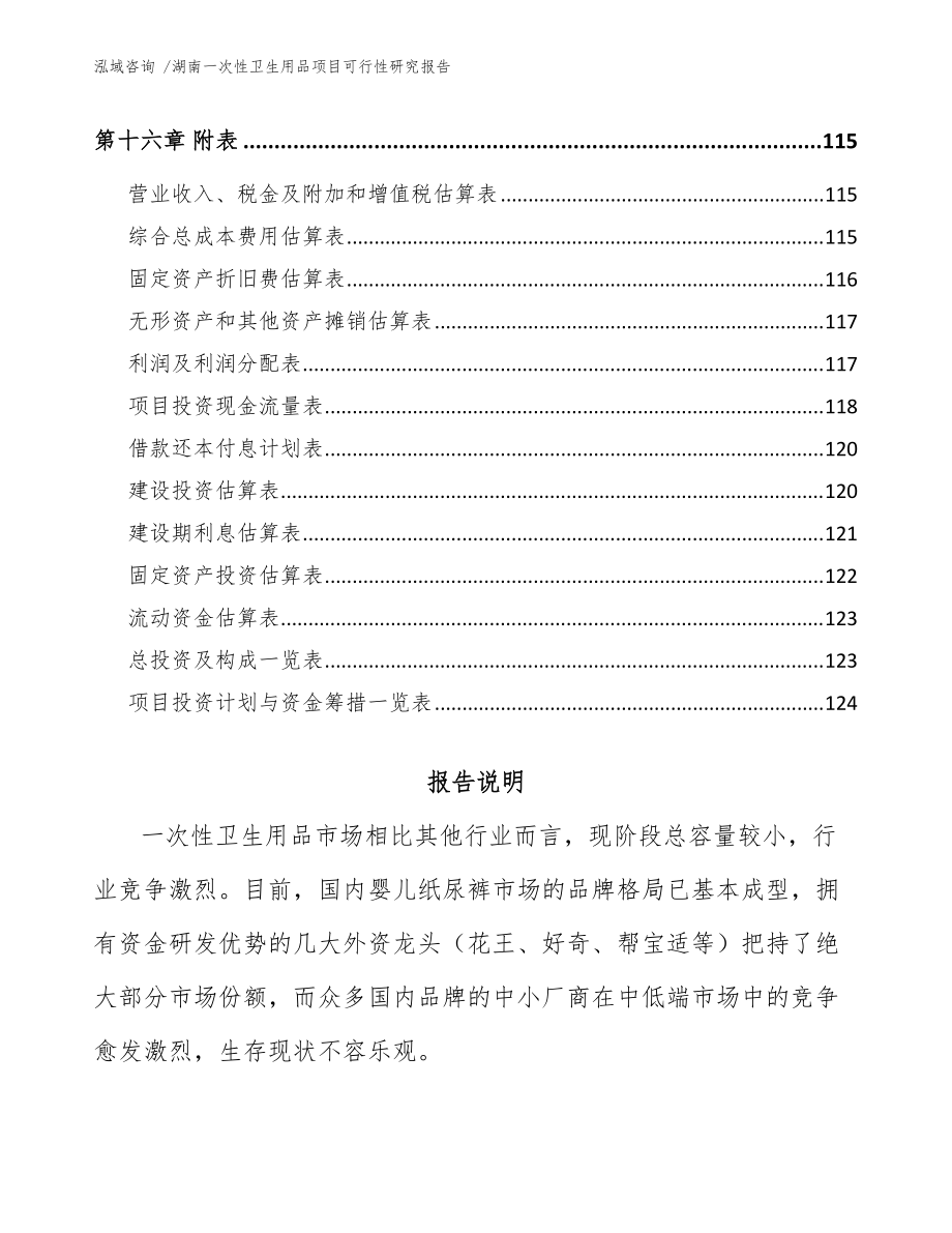 湖南一次性卫生用品项目可行性研究报告（模板范文）